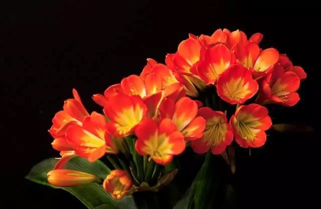 一次可以超度几个婴灵 婴灵会产生什么危害