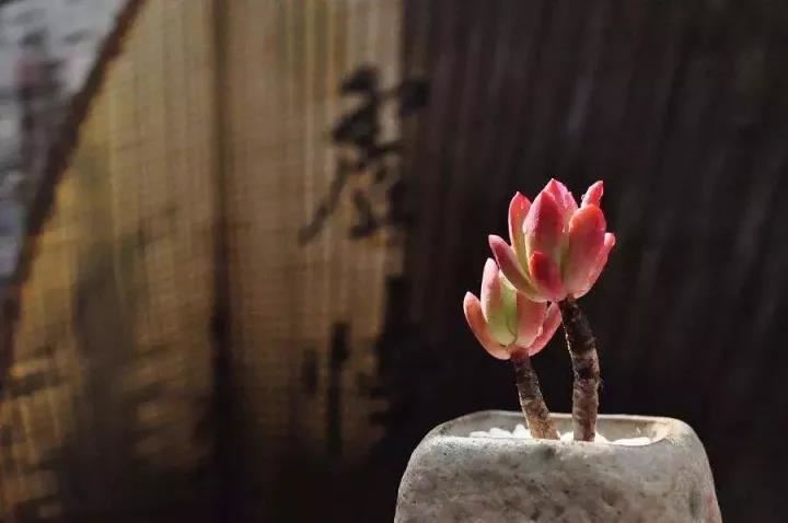 补财库法事有哪些好处？补财库法事介绍