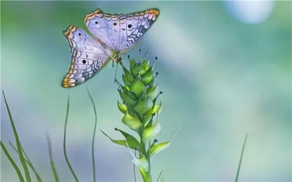 补财库法事一般需要多少钱？为什么要补财库