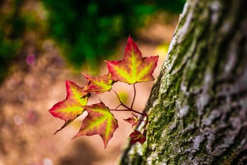 超度婴灵法事有用吗？如何做才有效