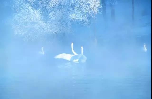 善财童子命有哪些特征？命运怎么样