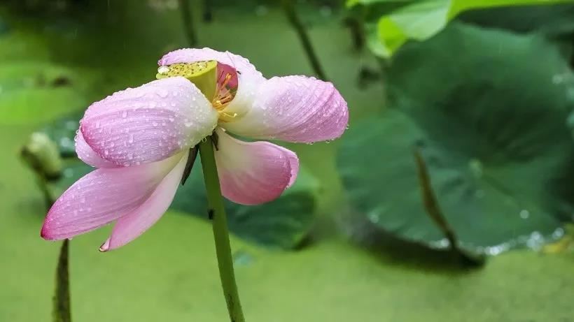 补财库法事可以自己完成吗？为什么需要补财库