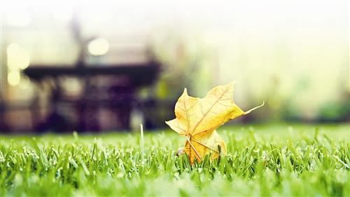 女孩子偏童子命会怎样？面相好不好