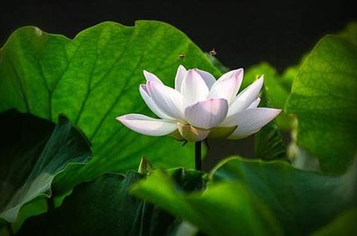 增加财运方法有哪些，怎么看财运不好