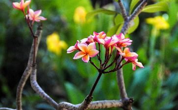 哪几类人需要做补财库法事？补财库方法是什么