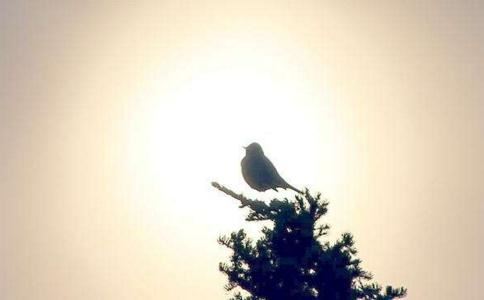 补财库法事真有用吗？有哪些好处