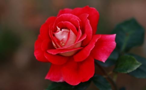 堕胎婴灵只缠着母亲，不缠着父亲吗？