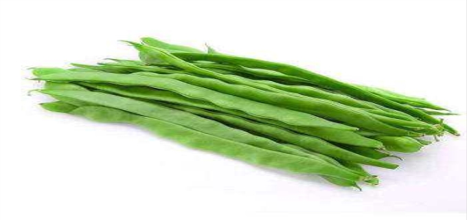 扁豆几月份种植最好