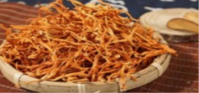 北虫草种植技术哪些方面需要注意