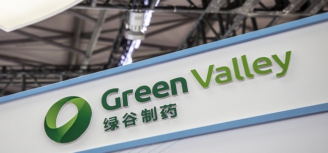 绿谷集团是干什么的